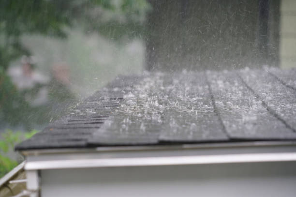 Best Skylight Installation and Repair  in Tillson, NY